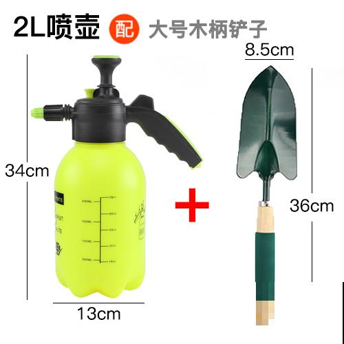 3种花特喜欢太阳，夏天晒晒长得旺，开花多多