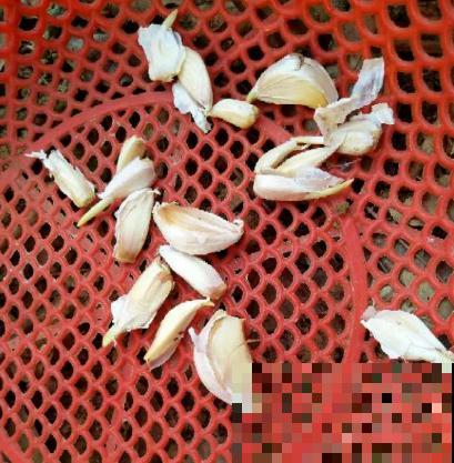 大蒜的7个妙用，一蒜在手，居家不愁