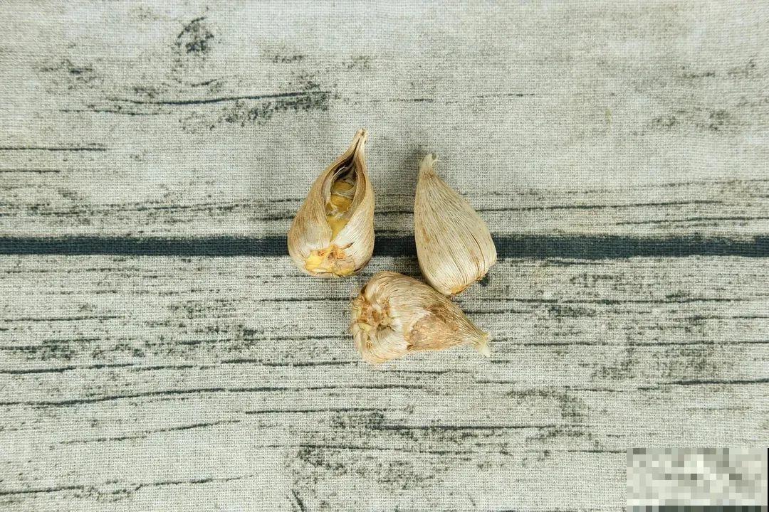 开花超香的香雪兰，夏天叶子全黄了，挖出满盆小球，大丰收！