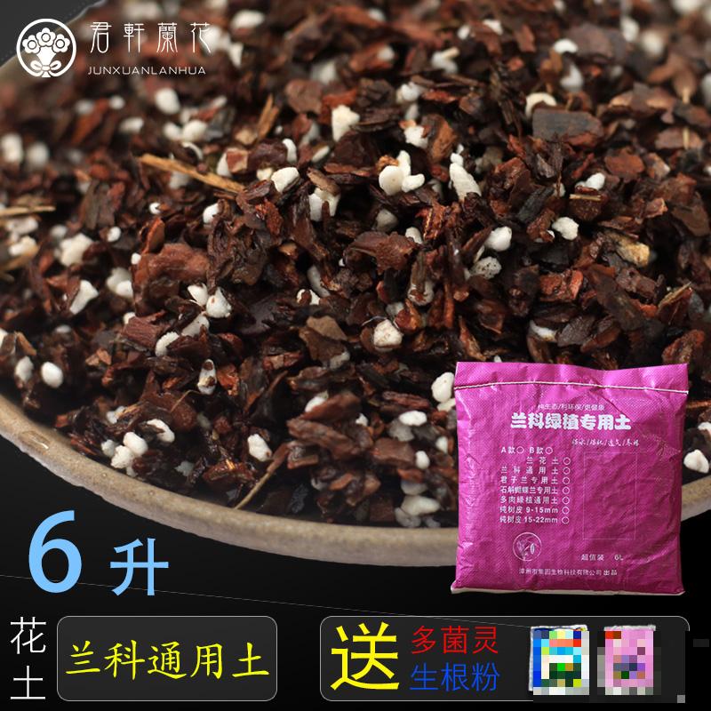 养兰人经常犯的错误，踩“雷”概率挺大，怪不得难养好