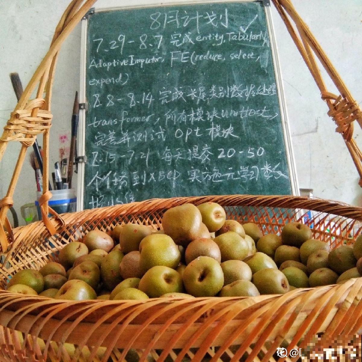 猕猴桃也能自己种？学好养殖，还你满盆猕猴桃