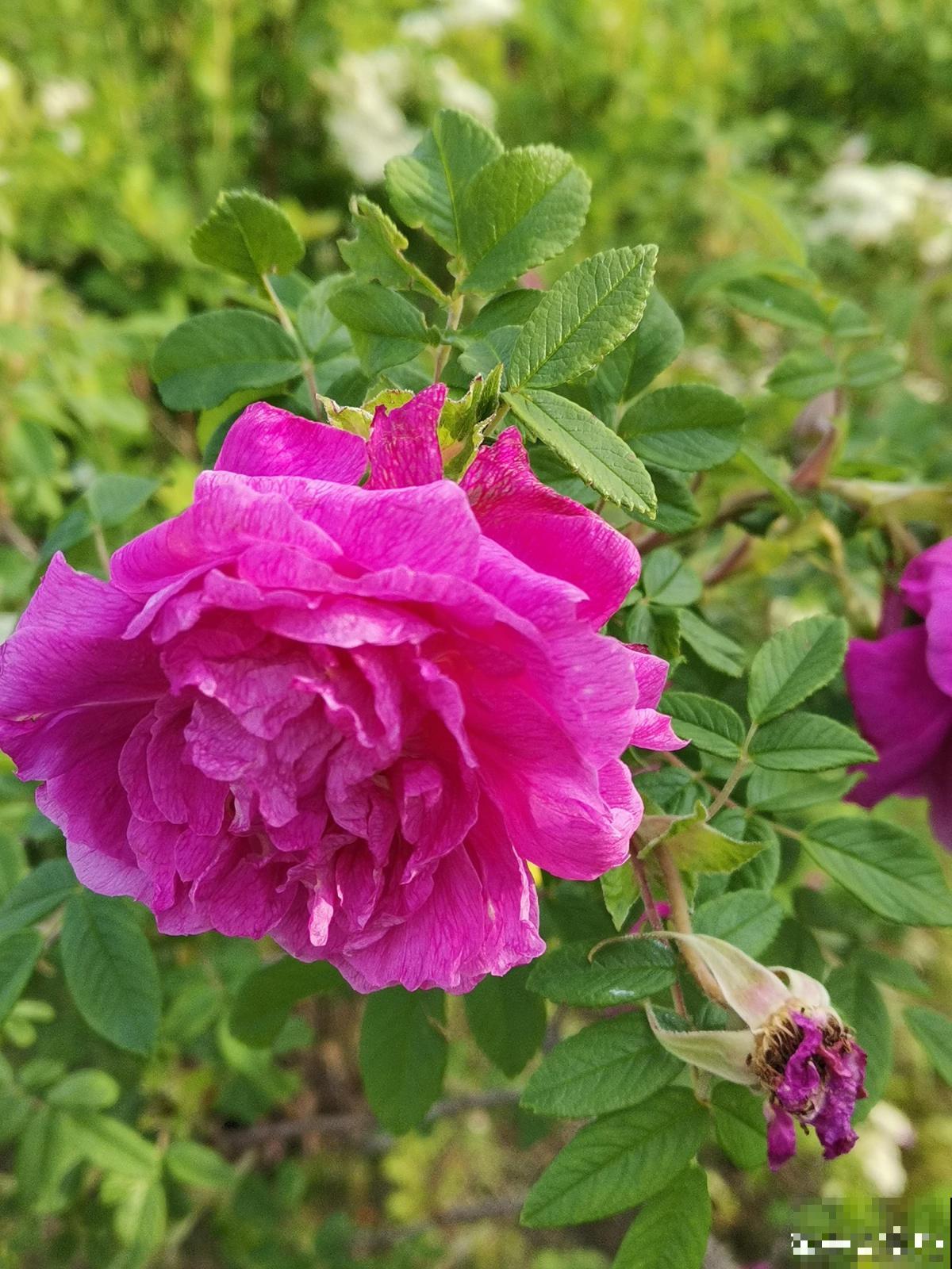 10个人生道理，年过半百的人更能理解，你赞同吗