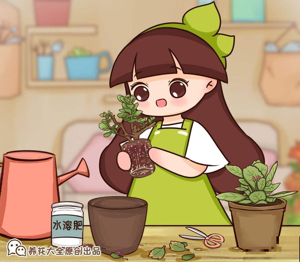 3种花马上要醒了，抓住时机养护，秋天呼呼冒新芽