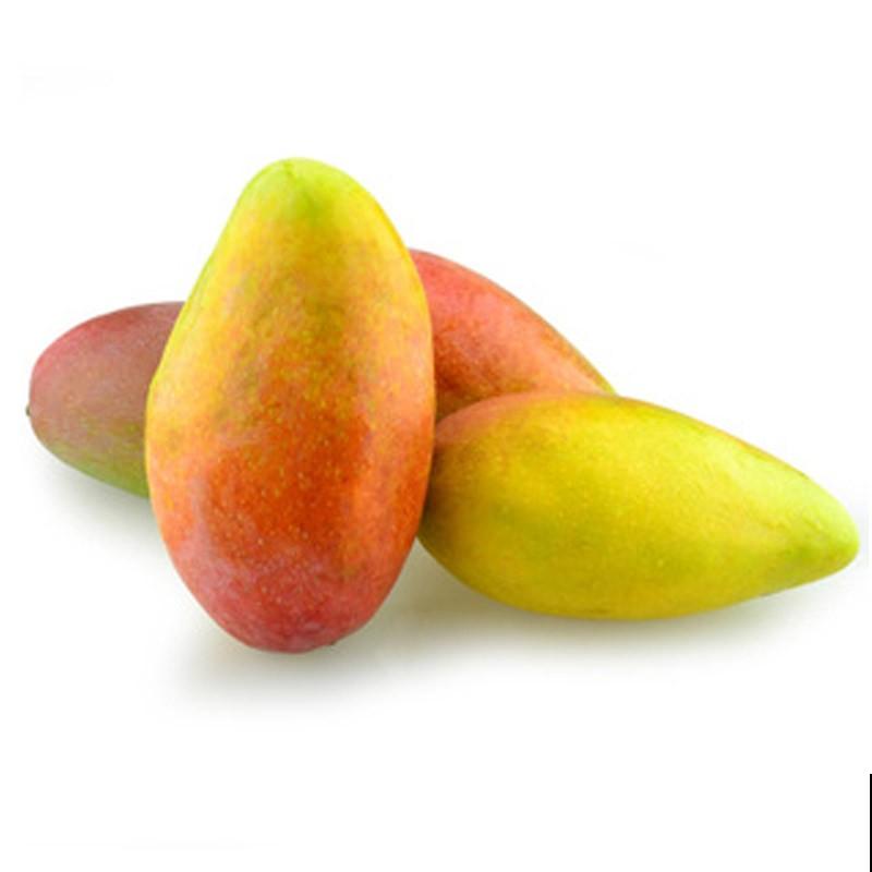 4个植物冷知识,还真是头一回听说,真神奇! 4个植物冷知识,还真是头一回听说,真神奇!