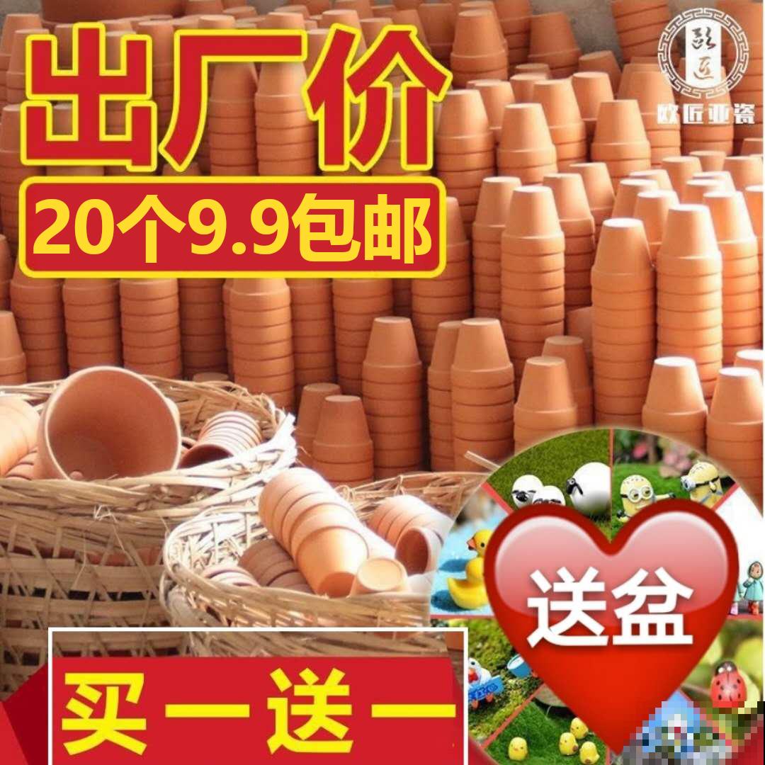 7种最适合阳台养殖的水果，成活率高，果香飘满屋