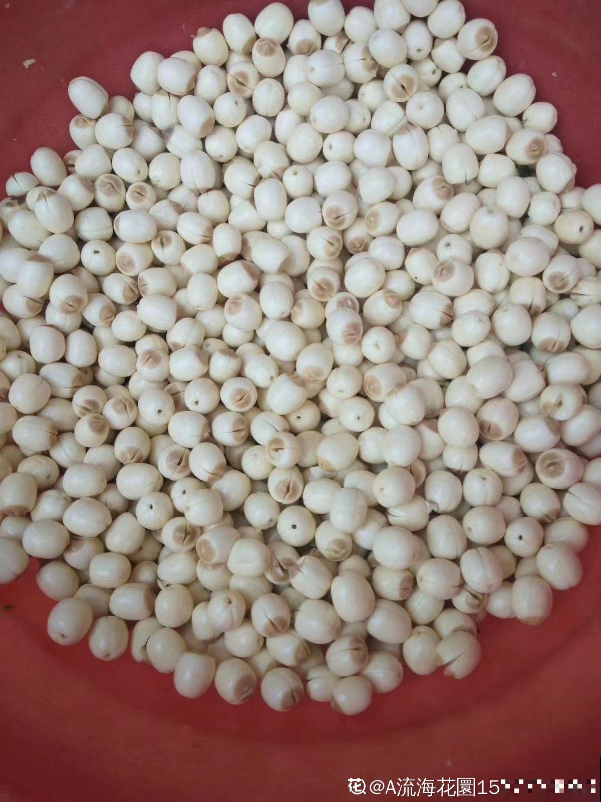 秋天喝点“滋润汤”,滋润身心,秋天不燥 秋天喝点“滋润汤”,滋润身心,秋天不燥