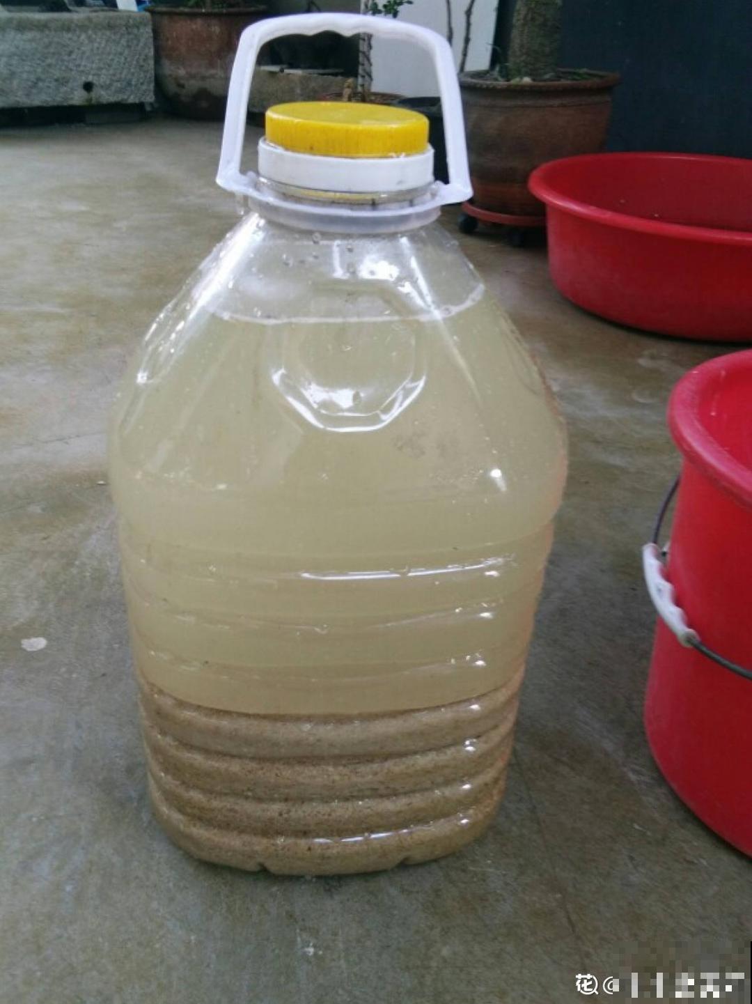 7种有机肥, 给花吃一点,花长得特旺 7种有机肥, 给花吃一点,花长得特旺