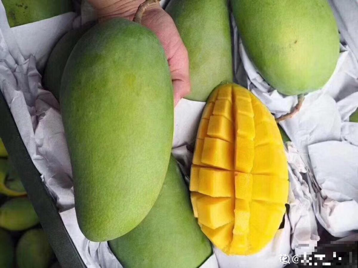 各个省份的代表水果，你家乡的特色水果是什么？