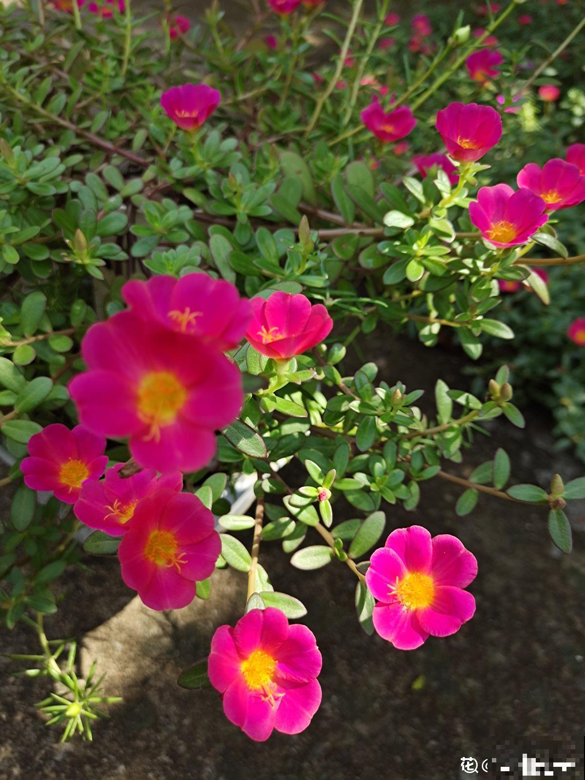 秋天又乏又燥,做好5件事,有效缓解乏和燥 秋天又乏又燥,做好5件事,有效缓解乏和燥