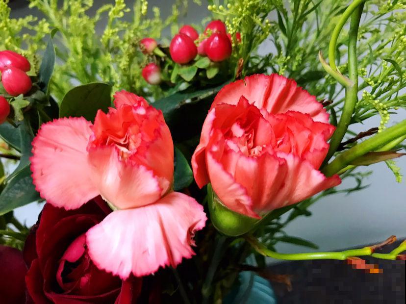 花束搭配必备！这5种花，做不了主花，没有它们却也不行