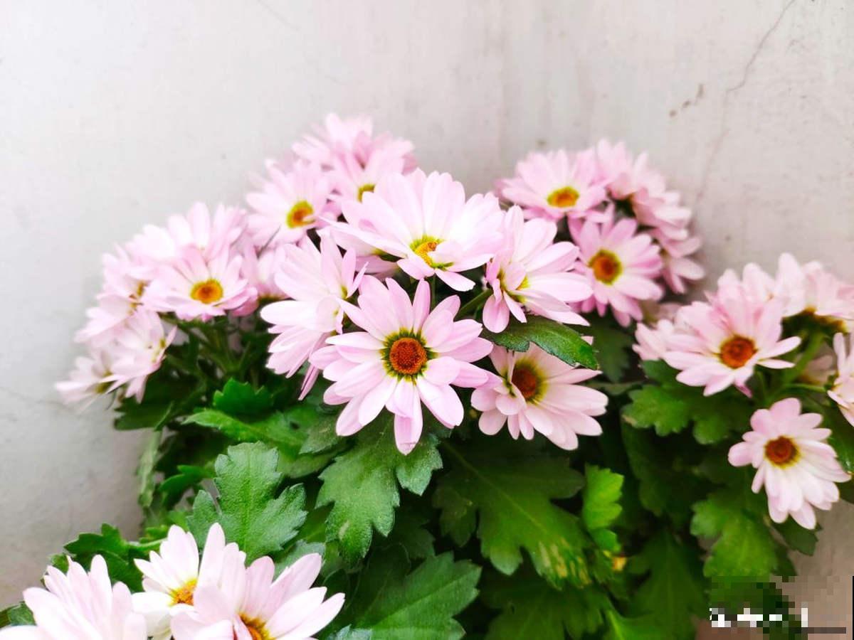 秋天又乏又燥,做好5件事,有效缓解乏和燥 秋天又乏又燥,做好5件事,有效缓解乏和燥