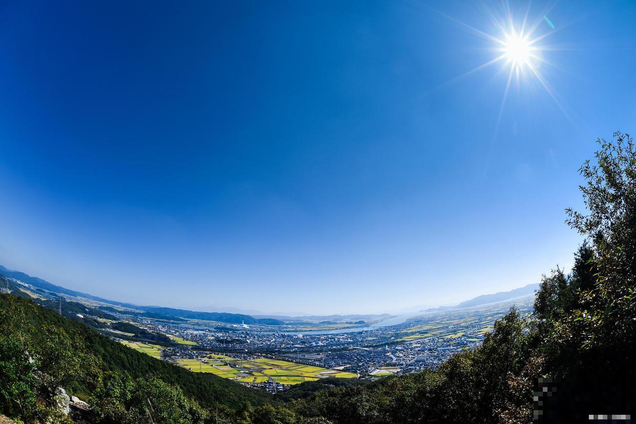 羊角瓜秧怎样打叉？