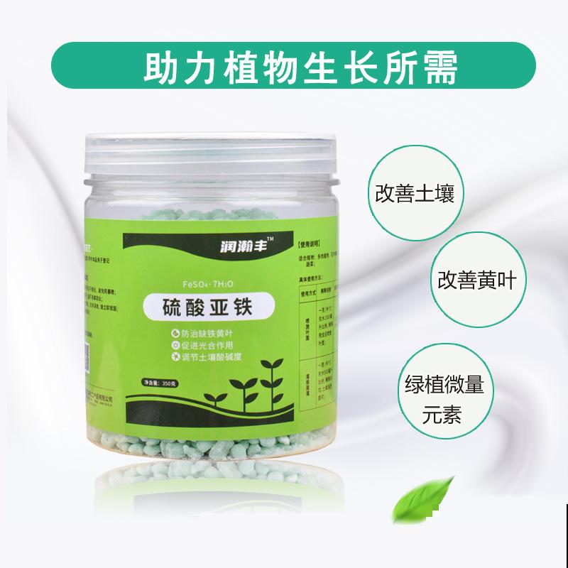 家有庭院,养好石榴盆栽,好运自然来 家有庭院,养好石榴盆栽,好运自然来