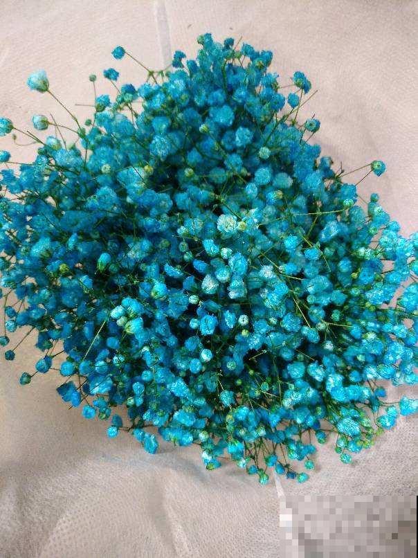 花束搭配必备！这5种花，做不了主花，没有它们却也不行