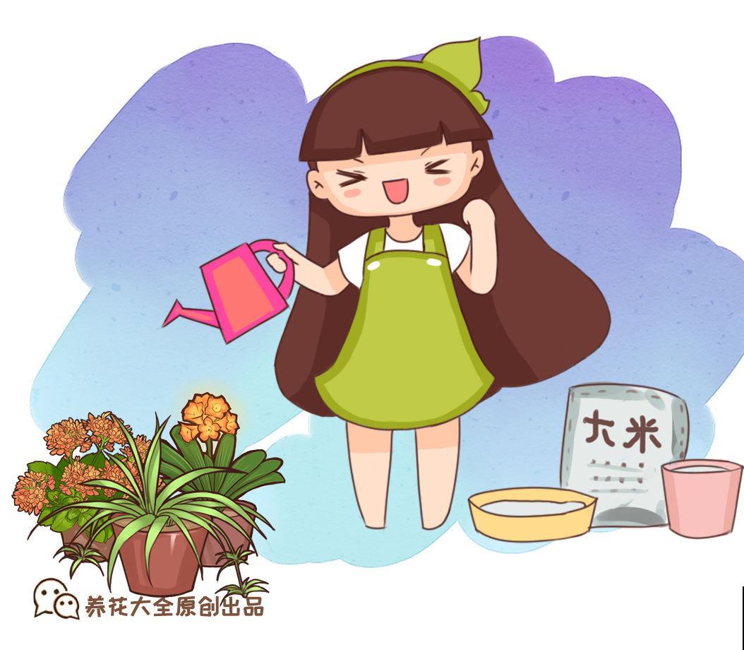 养花用点“酸酸水”,花长得特旺,叶子绿得直滴油 养花用点“酸酸水”,花长得特旺,叶子绿得直滴油