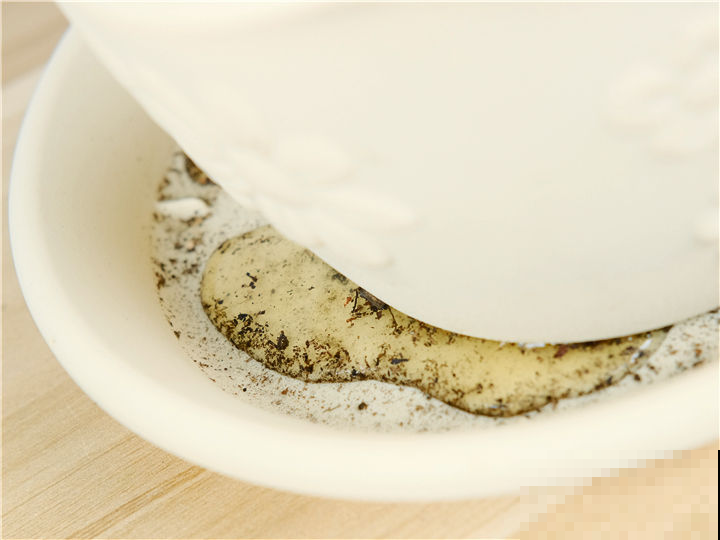 下周入伏,花卉进入渡劫期,这5条养护技巧需掌握 下周入伏,花卉进入渡劫期,这5条养护技巧需掌握