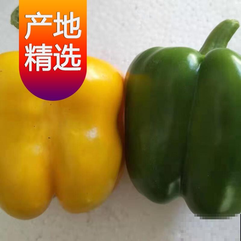 太空育种,究竟是什么神奇育种术? 太空育种,究竟是什么神奇育种术?