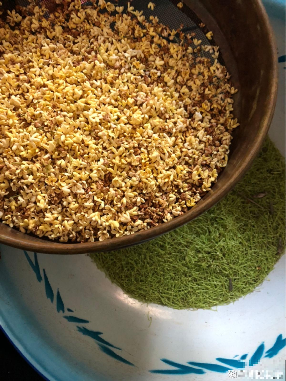 老中医爱养的4种花，堪称植物“百宝箱”，养人养身心