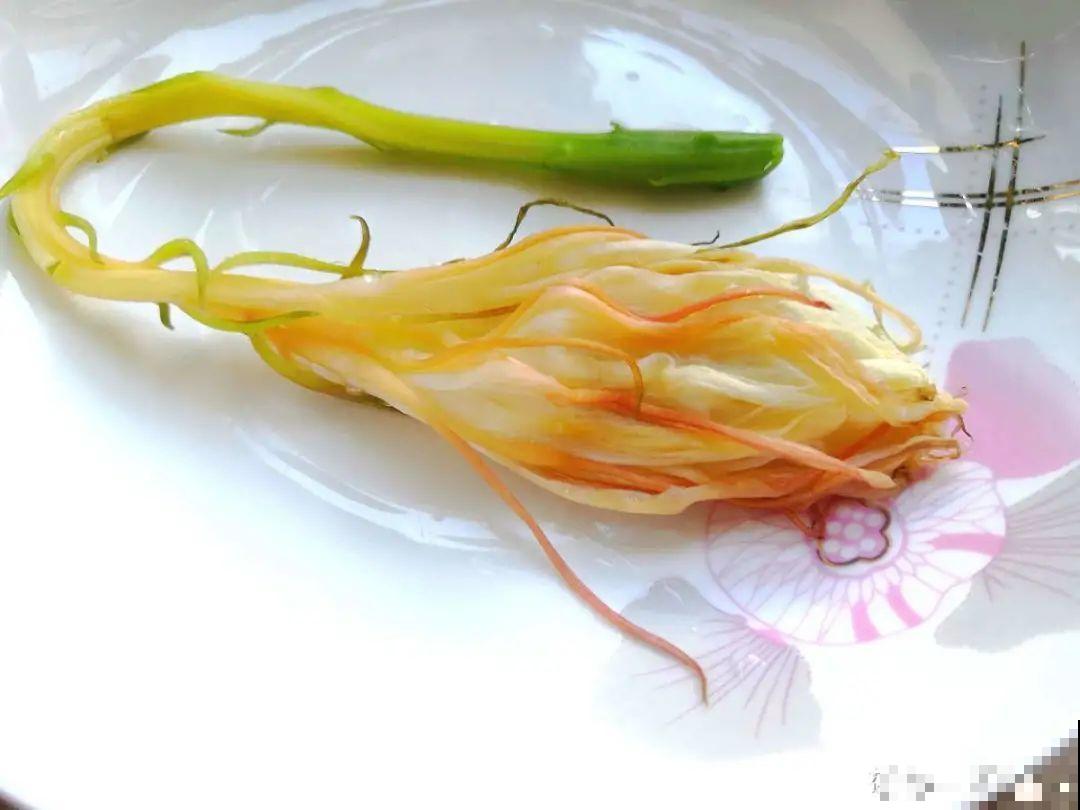 “不死鸟”真烦人，越养越多，真想扔掉