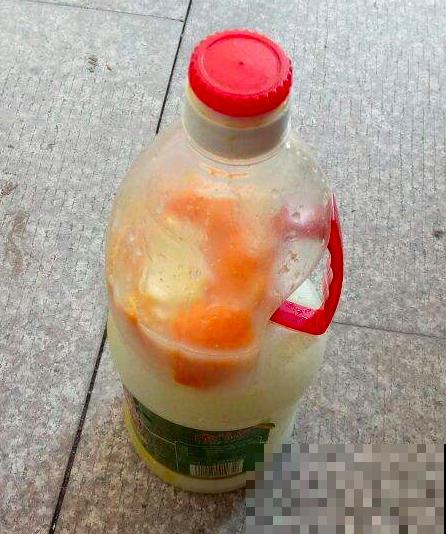 生活中的垃圾，却是养花好材料，千万别扔！