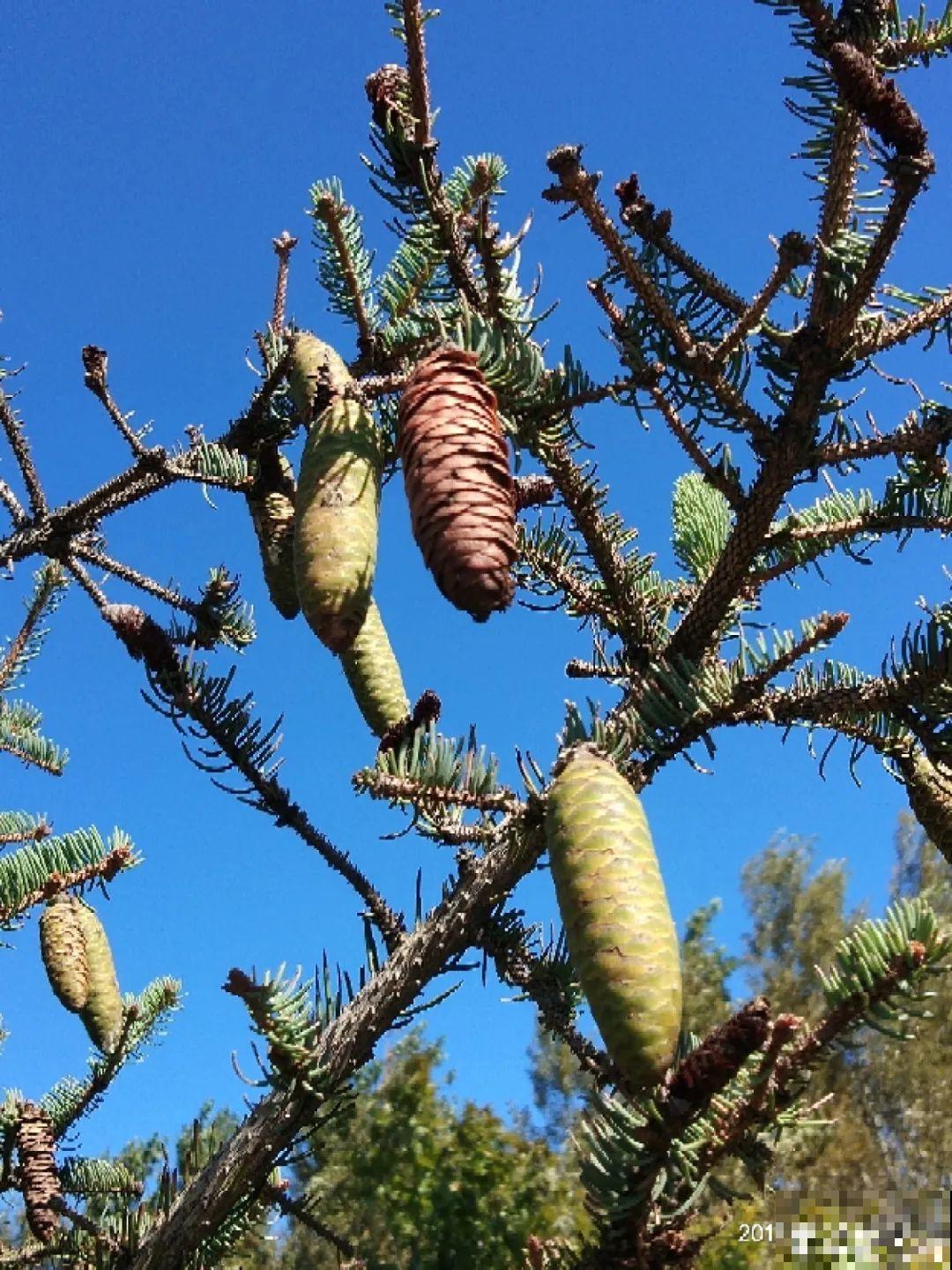 10种“垃圾”不要丢，拿来养花效果好，还能省下一笔钱