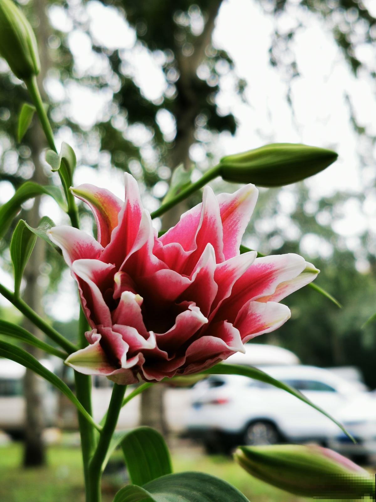 教师节送礼，是恶俗还是心意，全靠自己评判