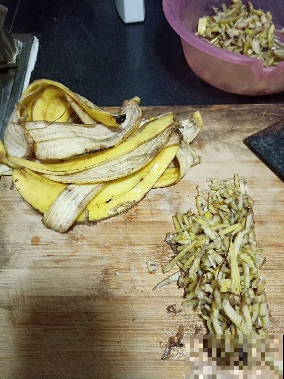 “垃圾”不要扔，拿来养花效果好，扔掉就是扔钱