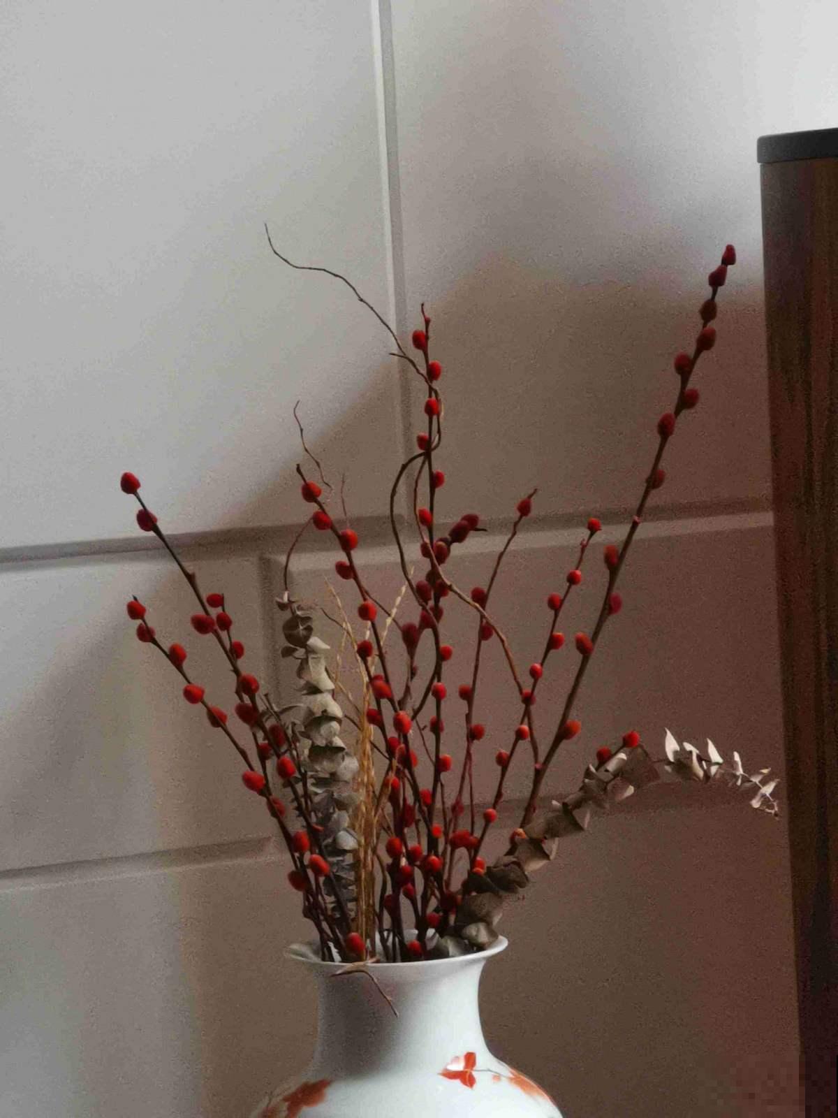 “银柳家里放，啥啥都兴旺”，一把枝条插瓶里，养好几年没问题