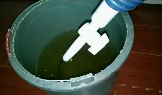 秋天给花补点“猛肥”,嫩芽一茬接一茬,花苞呼呼冒 秋天给花补点“猛肥”,嫩芽一茬接一茬,花苞呼呼冒