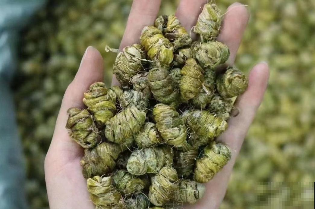 家里养的4种花,掐掉叶子还能做菜,养人养身心 家里养的4种花,掐掉叶子还能做菜,养人养身心