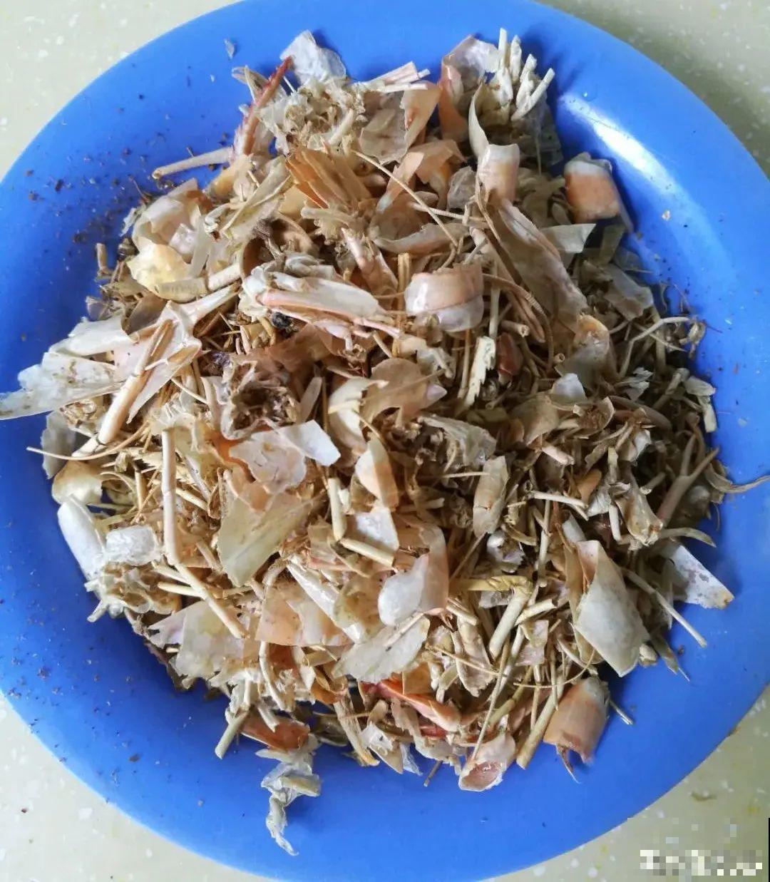 10种“垃圾”不要丢，拿来养花效果好，还能省下一笔钱