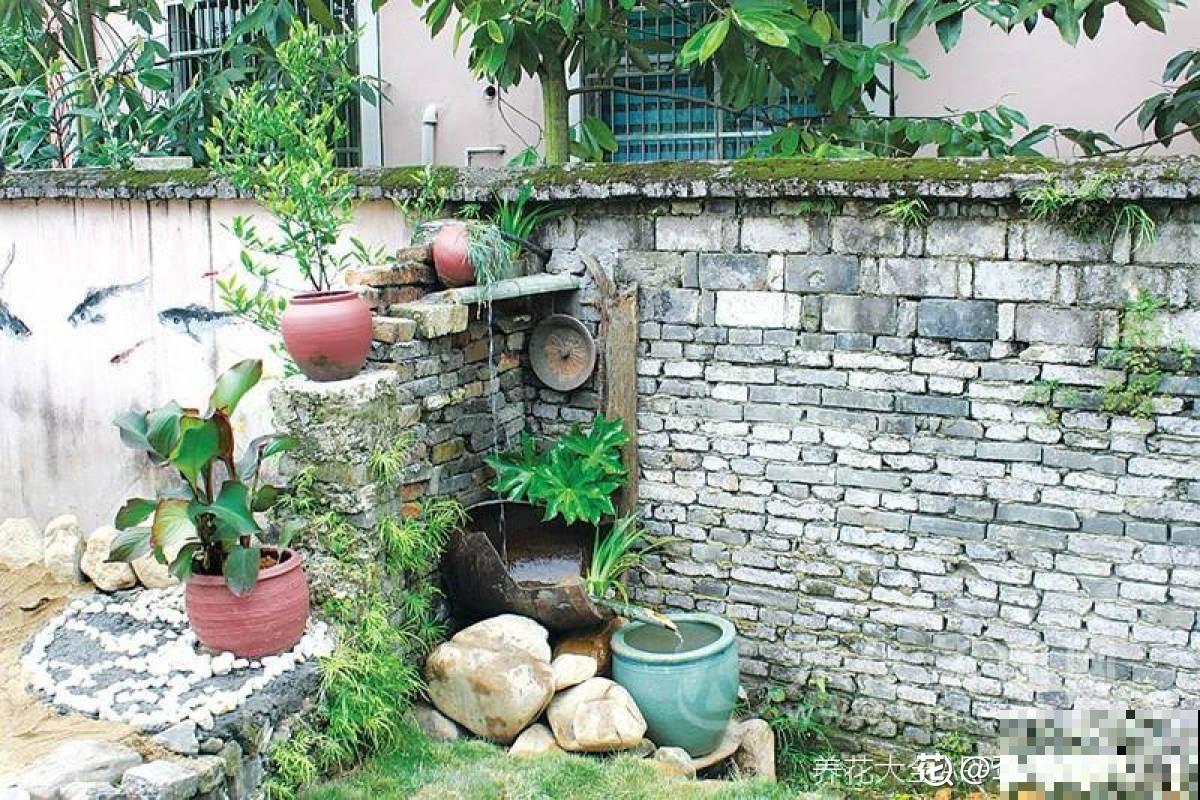 农村没人住的小平房，8万块钱就能买下来，拿来养花正好