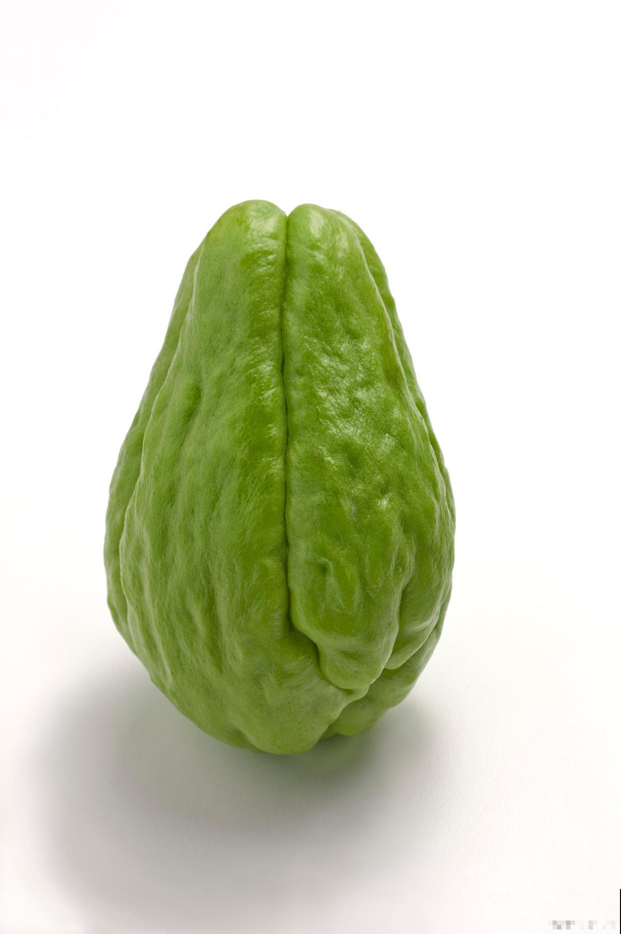 佛手瓜的种植方法和时间