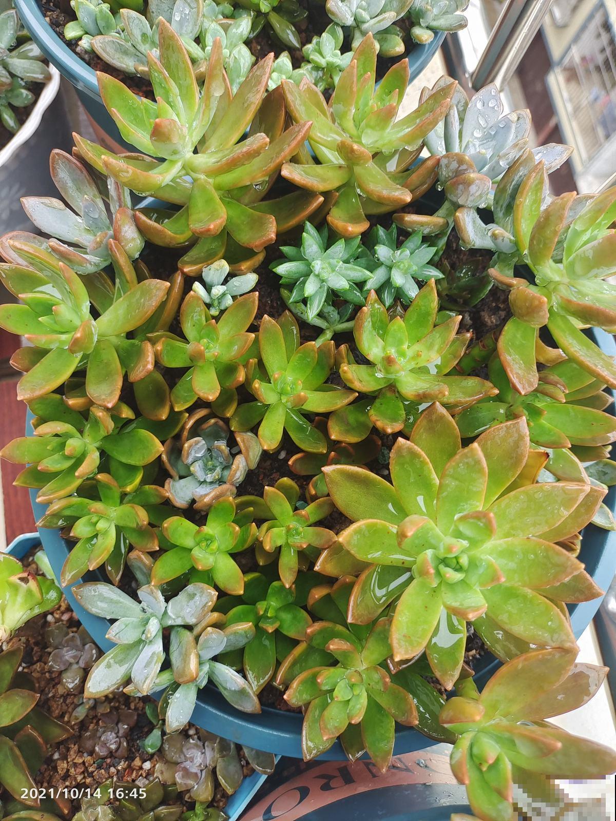 10个人生大道理，50岁后感同身受，你同意吗