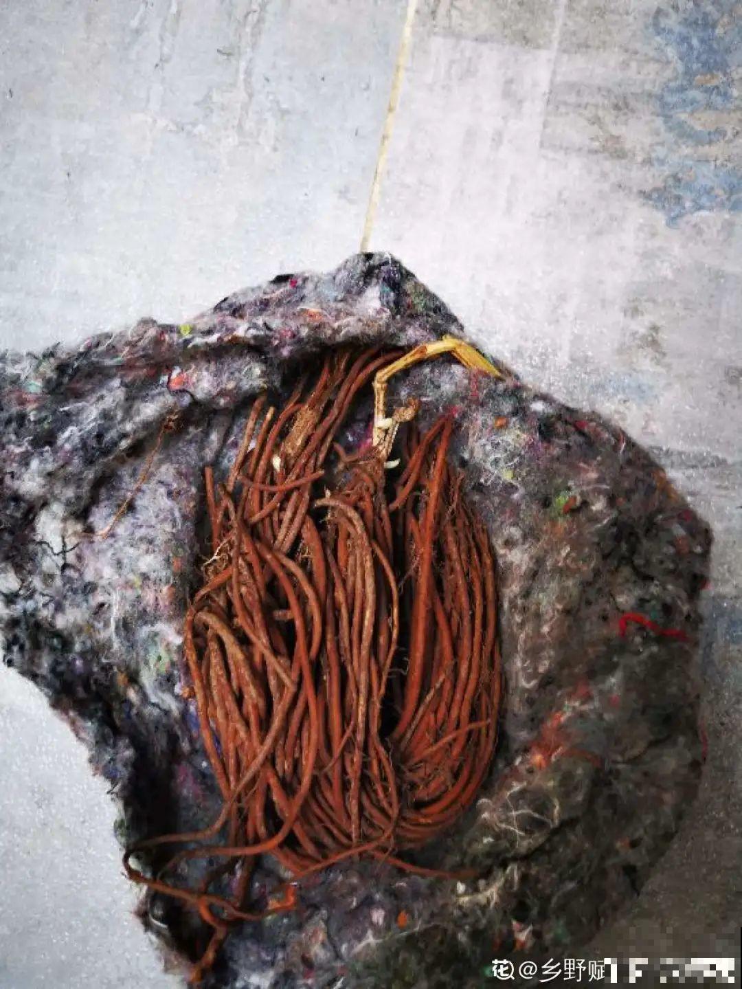 不良商贩真缺德，高价卖假货，不少人都上当