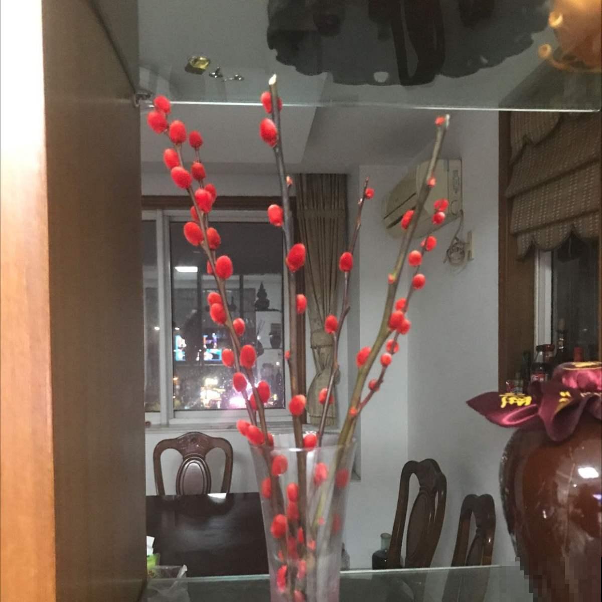 “银柳家里放，啥啥都兴旺”，一把枝条插瓶里，养好几年没问题