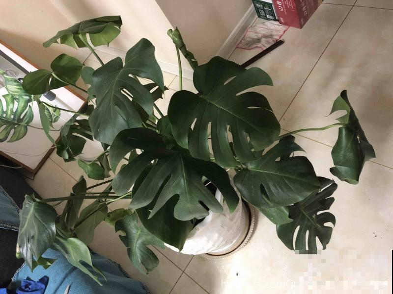 土壤板结要注意,赶紧学会三招,很快变松软 土壤板结要注意,赶紧学会三招,很快变松软