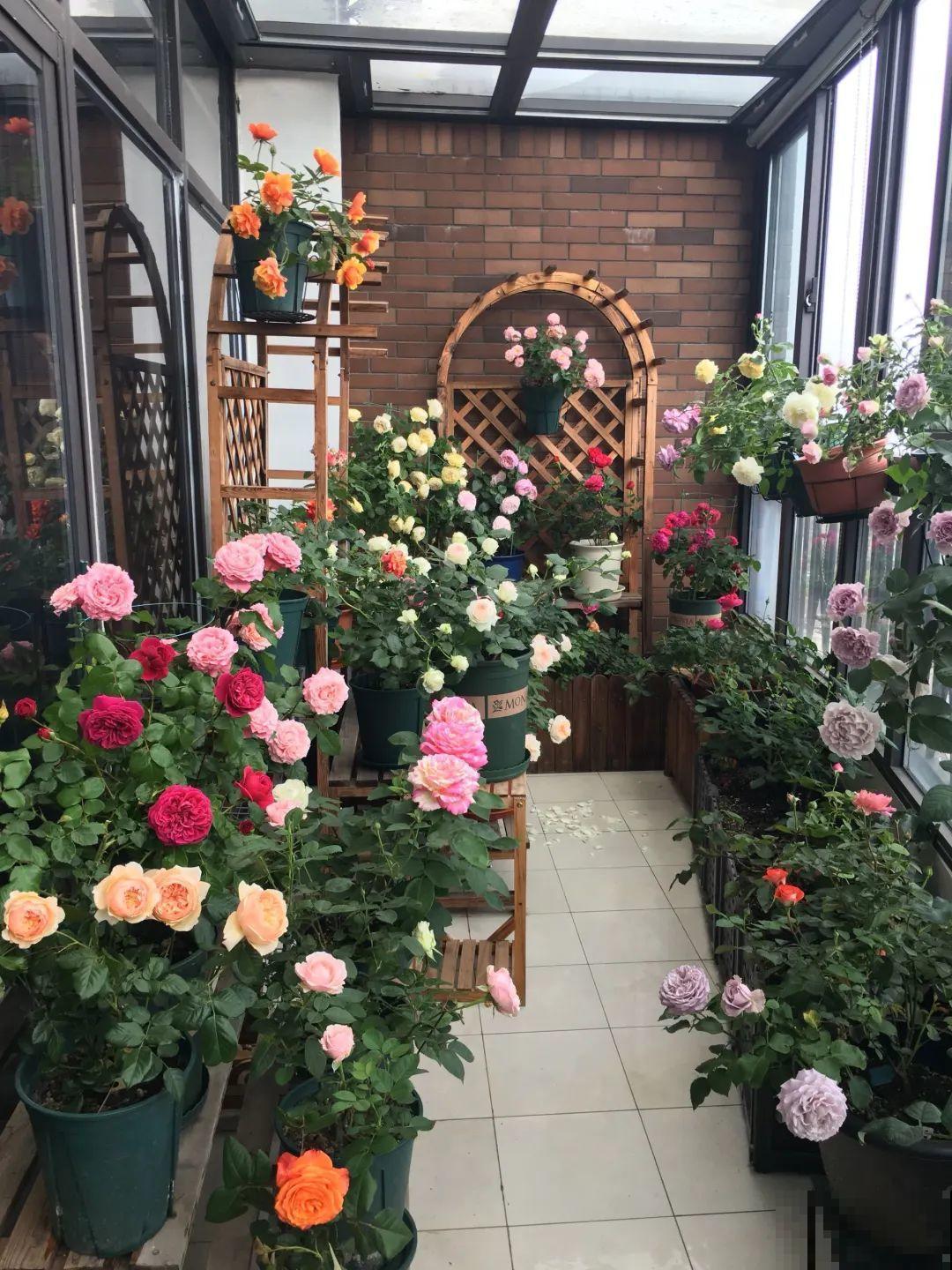 买个新房子种种花,到底选一楼小院,还是顶楼天台? 买个新房子种种花,到底选一楼小院,还是顶楼天台?