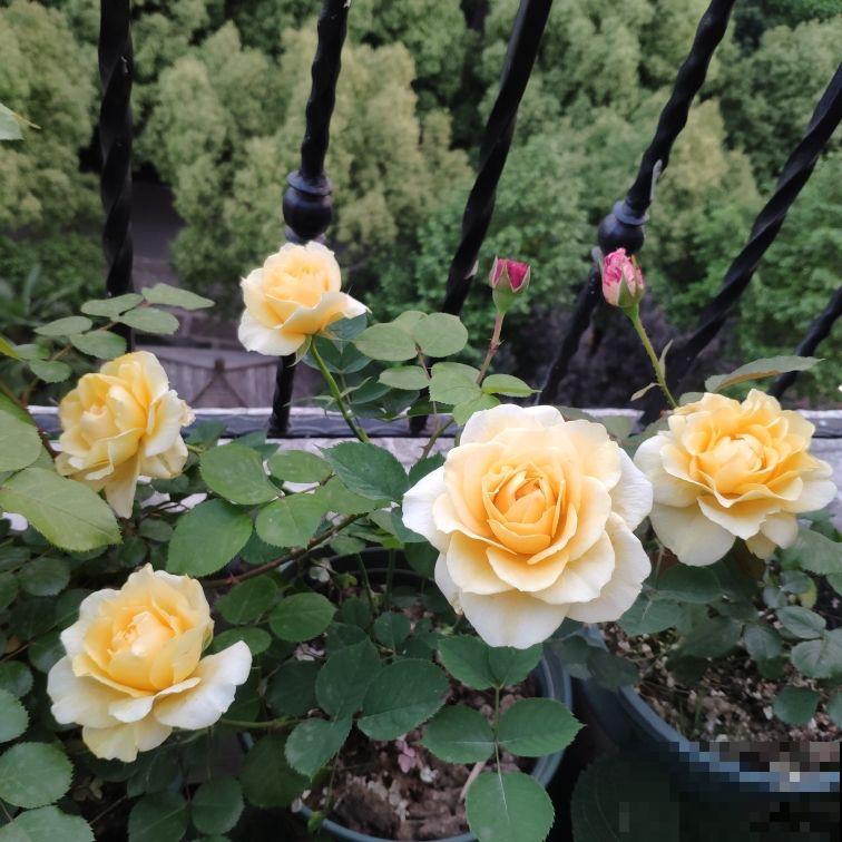 45岁之后，8个人生经验，越早知道越受益