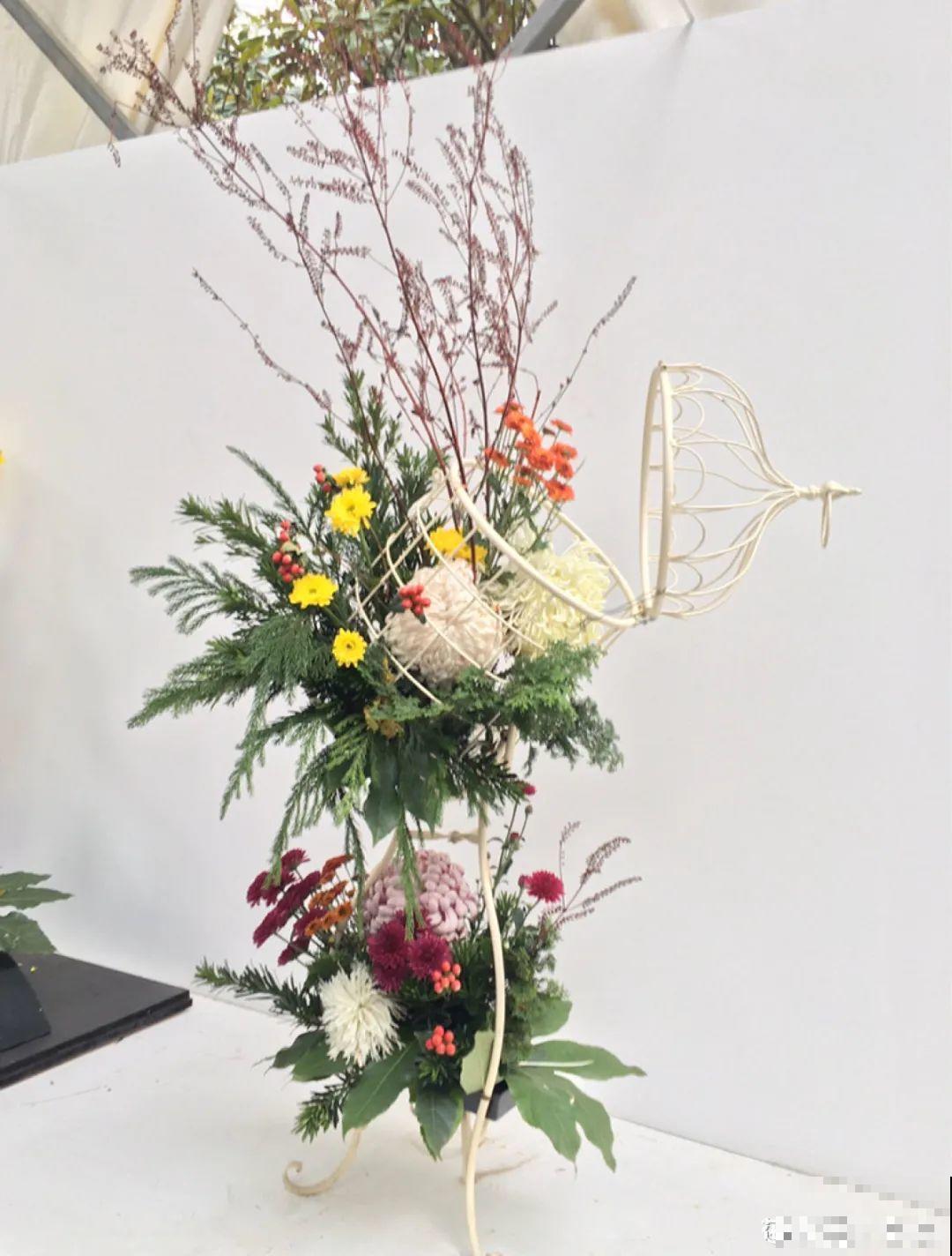 一盆菊花一万二，能开出七个颜色，真是少见