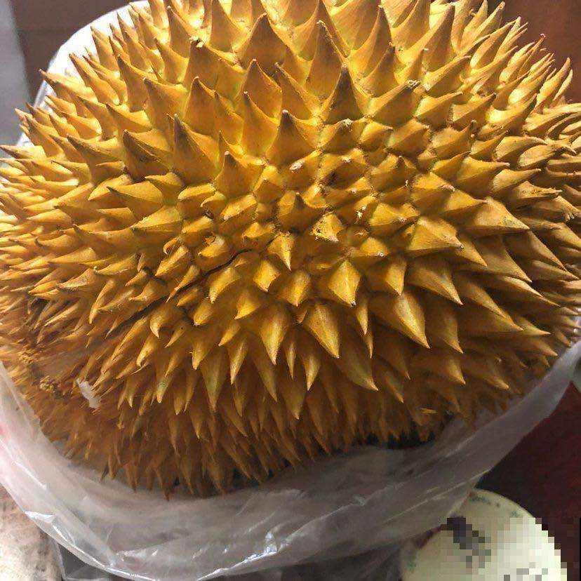 吃了一辈子的水果，还没见过开花是什么样，你见过几种