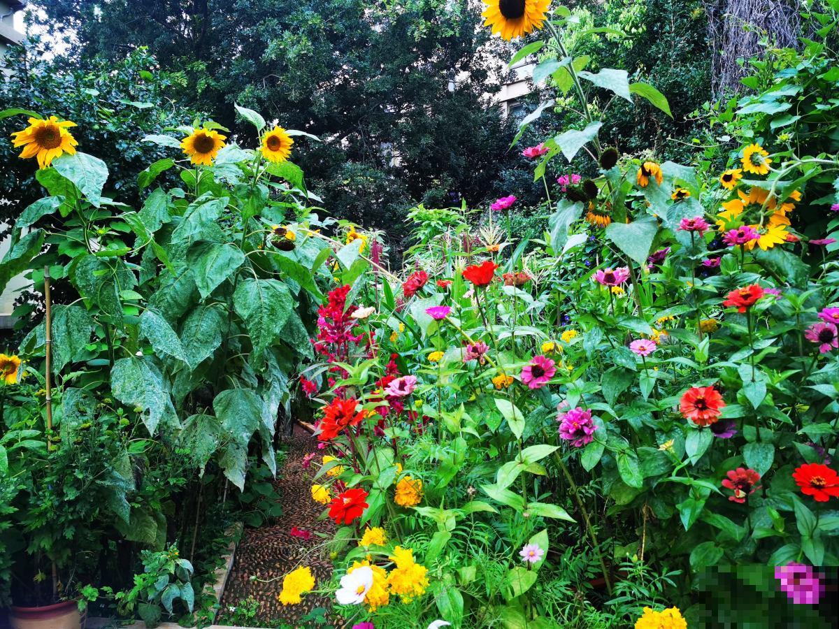 4个小技巧，打理院子更顺心