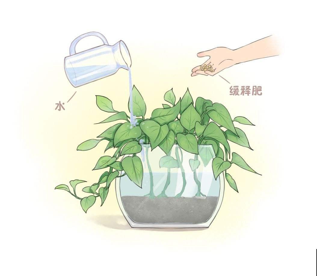 养花浇水十年功，牢记2个小妙招，轻松搞定浇水问题