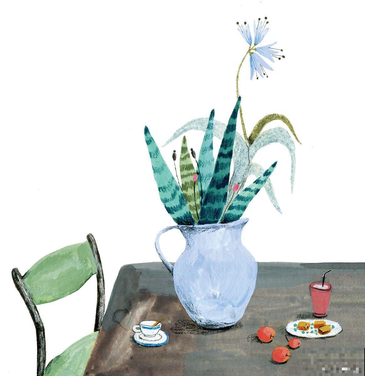 常见20种净化空气的室内植物