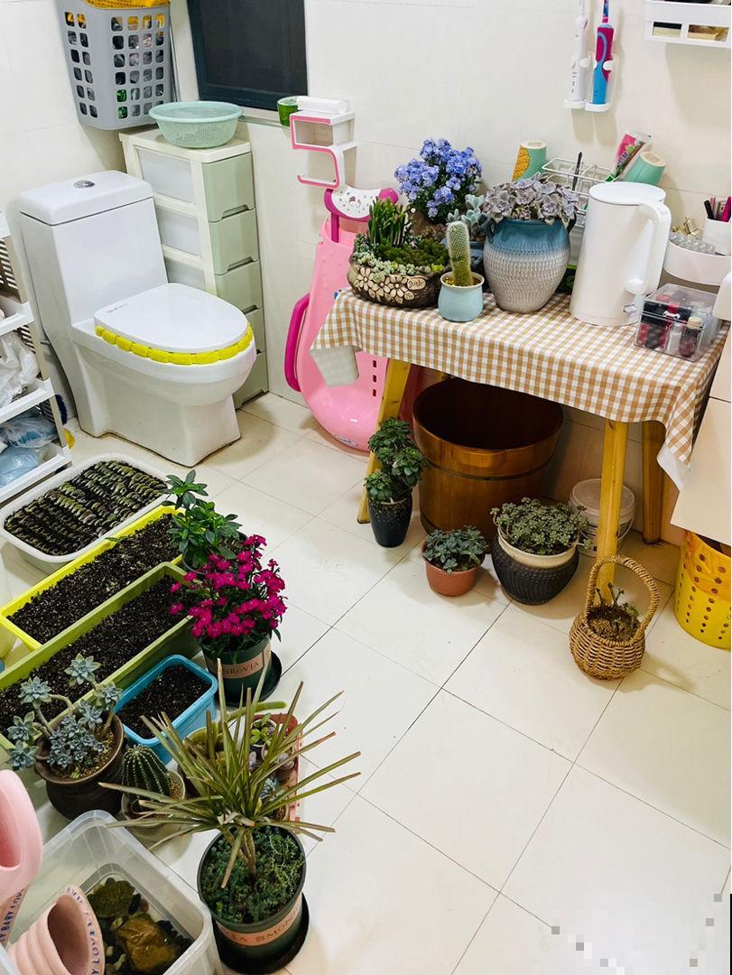 家里的4个地方,养花可不行,最后就剩个空盆 家里的4个地方,养花可不行,最后就剩个空盆