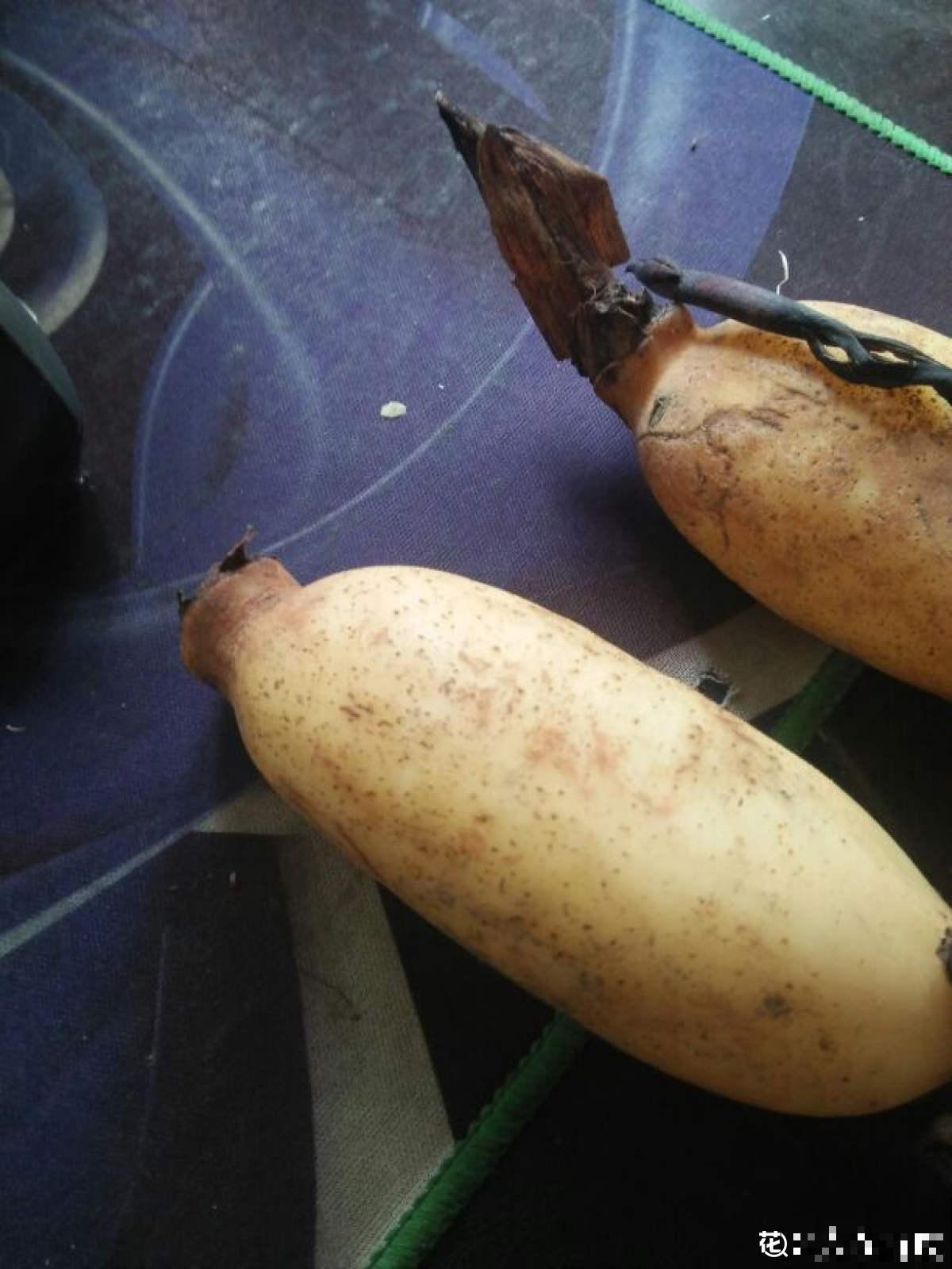 天气一凉，吃这6种蔬果特养人，关键是在家也能种