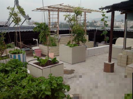 买个新房子种种花,到底选一楼小院,还是顶楼天台? 买个新房子种种花,到底选一楼小院,还是顶楼天台?