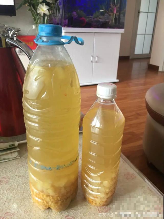 家里的“垃圾”留下，拿来养花效果好，颜值超高