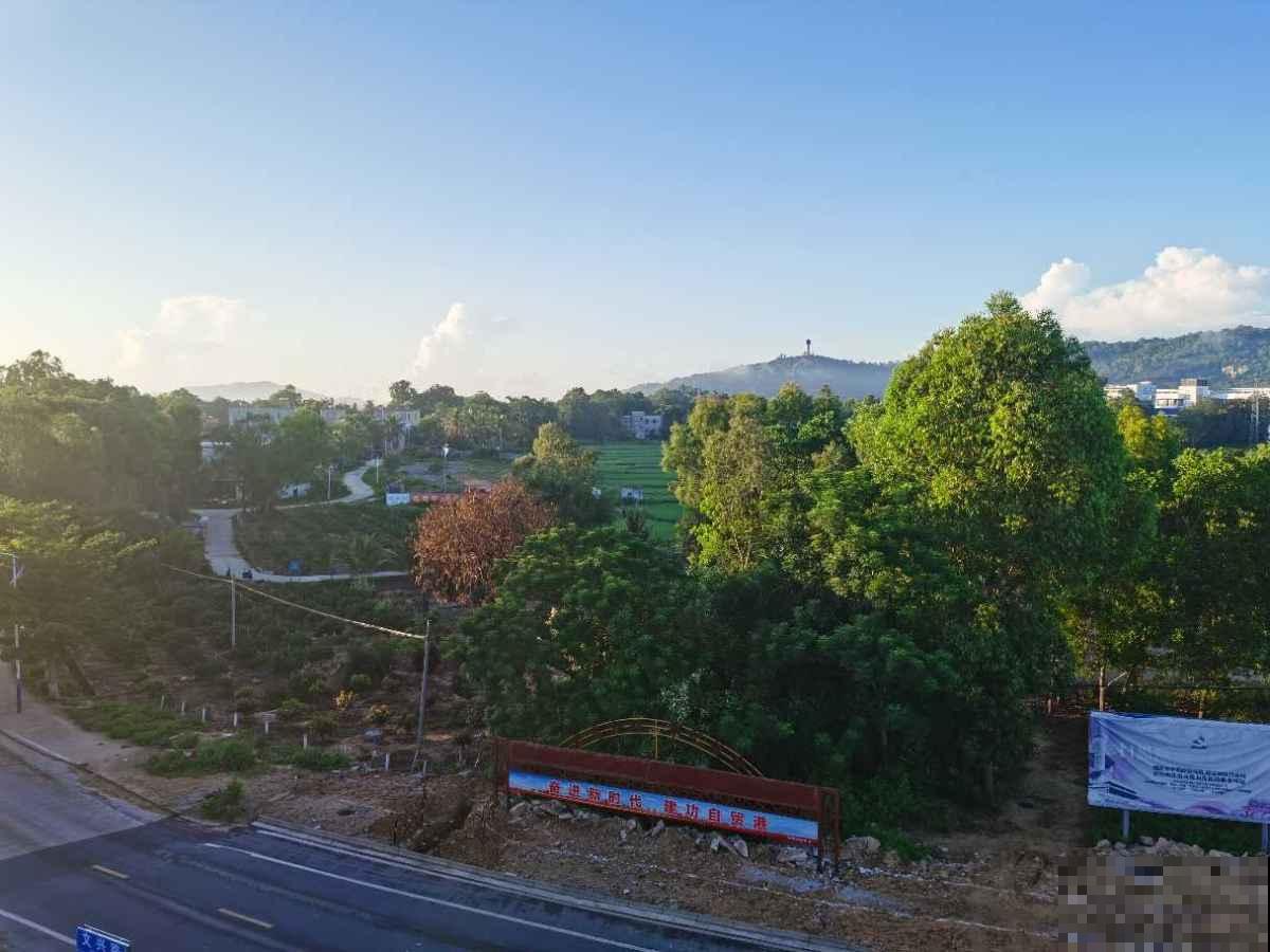 父母非要去乡下养花,拦都拦不住,两个月后却吵着要回家 父母非要去乡下养花,拦都拦不住,两个月后却吵着要回家