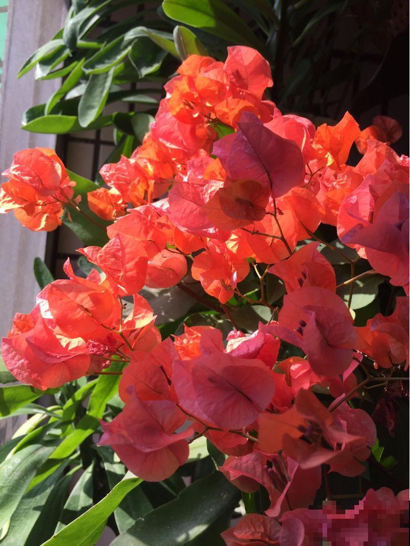 朋友圈转疯了,人到中年就怕5件事,早点看透少吃亏 朋友圈转疯了,人到中年就怕5件事,早点看透少吃亏